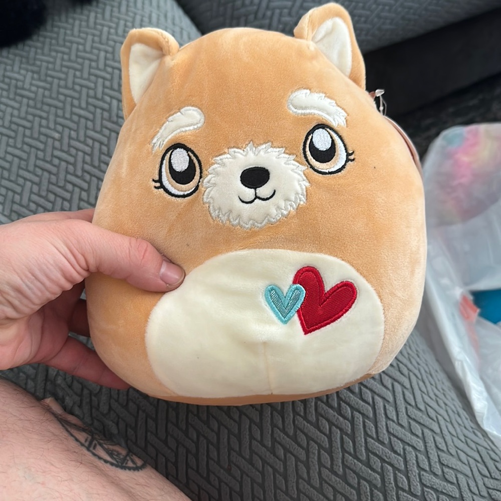 Squishmallow Chloeyana the Valentine dog!